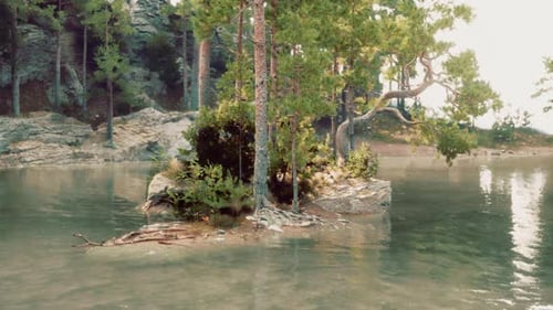 Blue Water in a Forest Lake with Pine Trees