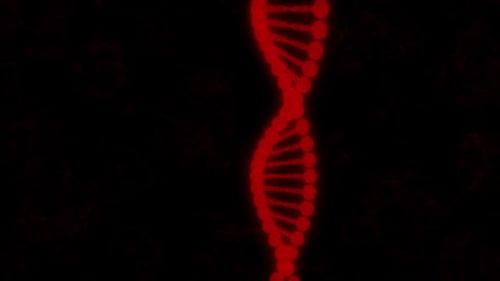 Glowing red digital dna helix strand