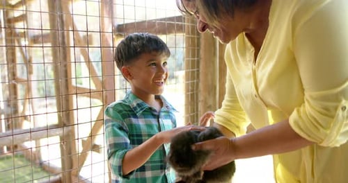 Child and Rabbit at Rural Animal Enclosure
