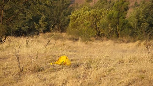 Bolsa de plástico amarilla dejada en llanuras de hierba seca, tiro ancho.