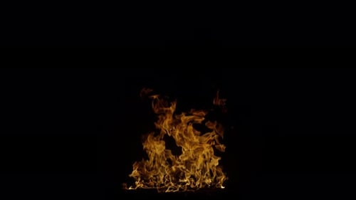 Ignite Collection: A medium sized flame ignites from ground on dark background shot up close in 4k a
