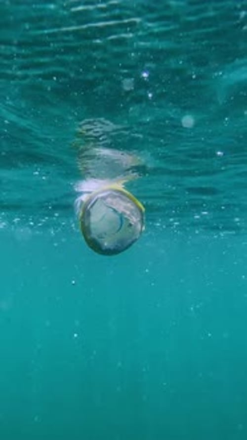 Plastic Garbage in Beautiful Sea