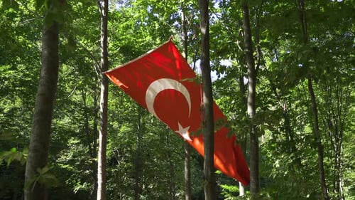 Turkish Flag Waving in a Forest