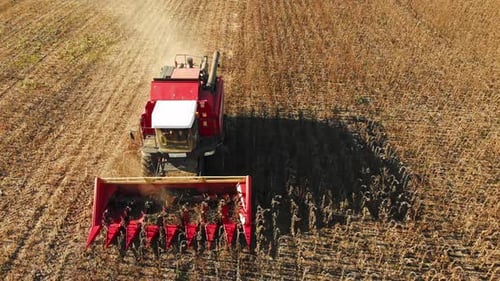 Aerial Shot of a Moving Combine Harvester Collecting Sunflower Seeds in Autumn