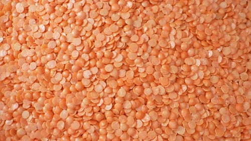 Pile of uncooked red lentils close-up