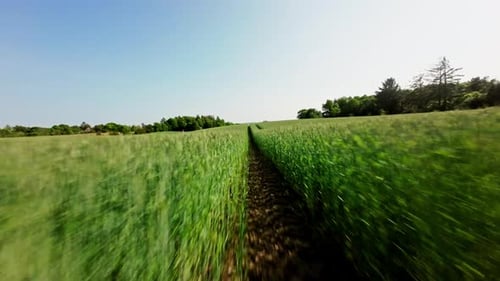 Drone Racing Above Farm And Crops