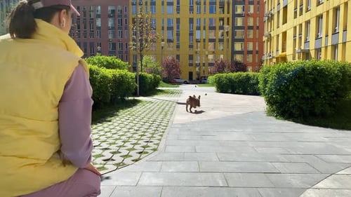 Woman Playing Fetch with Dog in Colorful Courtyard