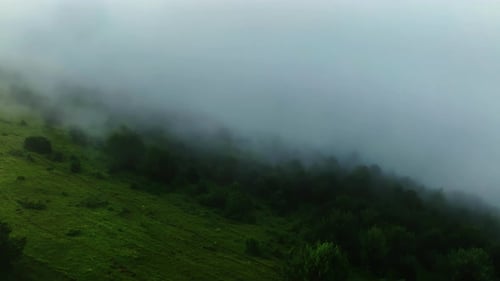 A Dense Fog Cloaks the Rolling Green Hills Mystic Fog Blanketing a Lush Hillside