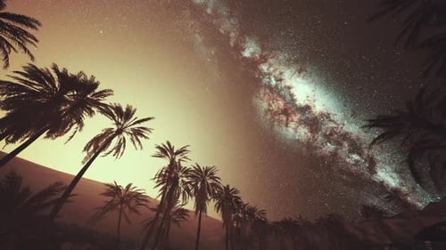 Night Scene with Silhouette Hut and Coconut Tree with Milky Way Galaxy in Sky