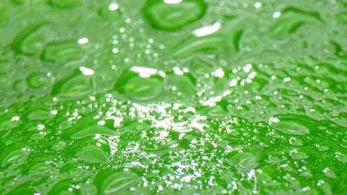 A close-up view of a green leaf covered with water droplets.