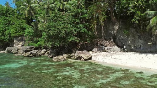 Tropical Beach with Turquoise Sea Water and Lush Green Palm Trees