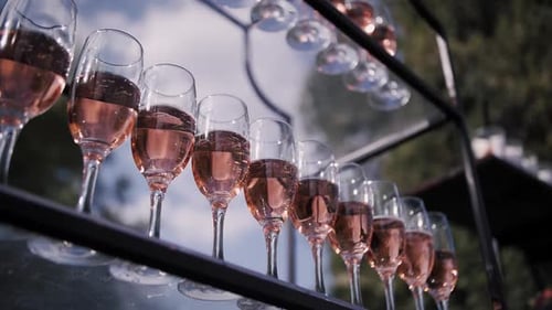 Champagne Glasses Stand in a Row