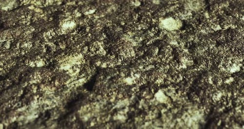 Close Up View of Textured Rock Surface in Nature with Moss and Lichen