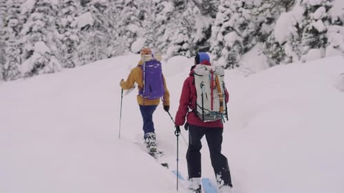 Freunde beim Skifahren im Hinterland unter schneebedeckten Bäumen im Winterwald Aktiv