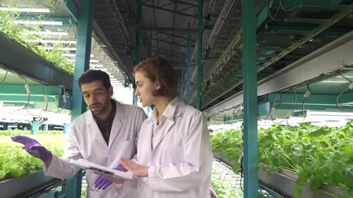 Scientists Inspecting Plant Growth in Indoor Farm