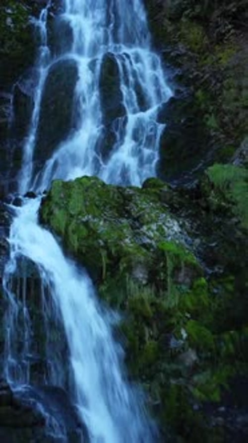 Uma cachoeira serena cai graciosamente sobre rochas cobertas de musgo em um ambiente excepcionalmente exuberante