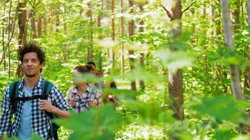 Multiethnic group of friends enjoying a summer hike through the forest together