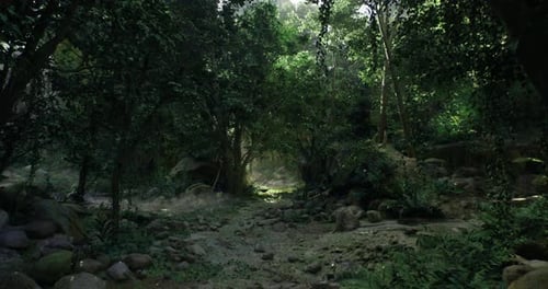 Lush Green Jungle with Sunlight Peeking Through Dense Foliage in Nature