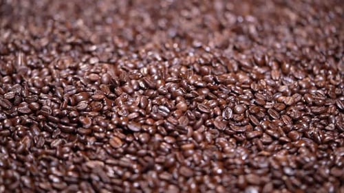 Kaffeebohnen fallen in Zeitlupe HD