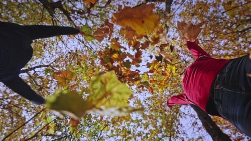 Autumn Fun BottomUp View Man and Woman Playfully Tossing Up Dry and Bright Yellow Leaves Beautiful