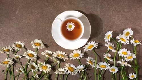Chamomile Tea Still Life with White Cup