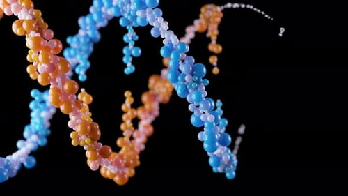 Dynamic Abstract DNA Double Helix Formed by Colorful Spheres