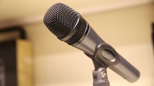 Professional dynamic microphone for song, sideways movement, sideways movement
