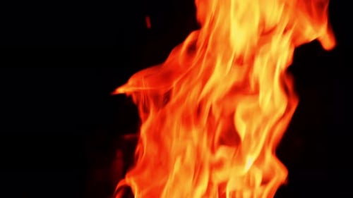 Dynamic Close-Up of Vibrant Fire Flames on Black