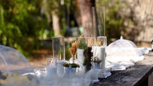 Wedding Party Banquet Outdoors in Forest Dining Table Decorated in Boho Style with Candles White