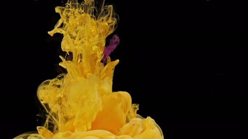 Yellow and Pink Ink Cloud Swirling on Black