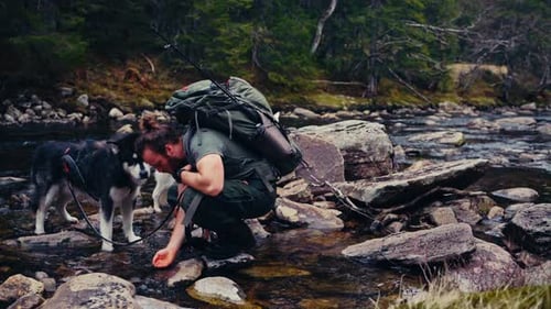 Hiker With His Dogs Drinking Fresh And Cold Water In The River. - wide shot