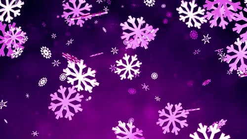 Looping Festive Purple Background with Falling Pink Snowflakes