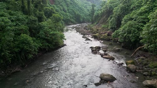 Aerial View of Tropical Jungle River Flowing Through Dense Rainforest and Steep Green Valley
