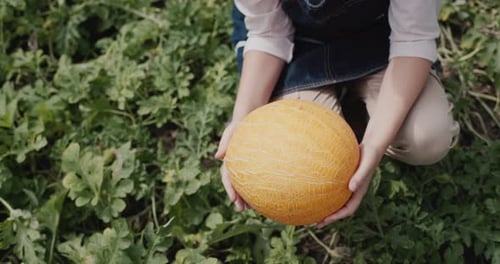 Child Holds Melon in Green Field at Daytime