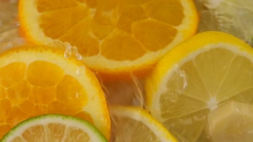 Fresh Citrus Slices Bathed in Water