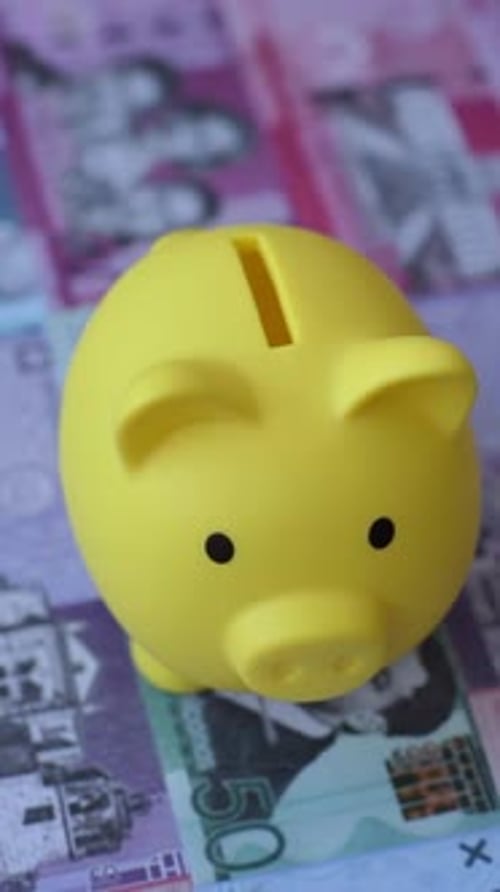 A piggy bank as a concept for storing, accumulating financial resources. A piggy bank