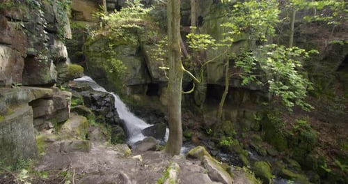 Waterfall Cascades Down Mossy Rocks in Forest