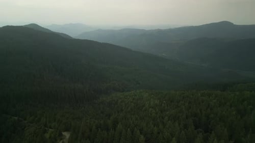 Flying Over Green Forest at Cloudy Day with the Mountains on Horizon with Glowing Clouds Carpathian