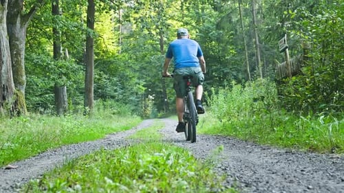 Cycling on the forest track in Poland