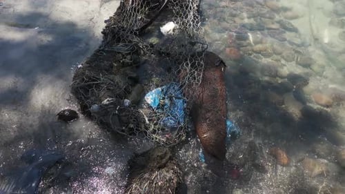 Trash and debris in the ocean near Bastimentos Island, Panama