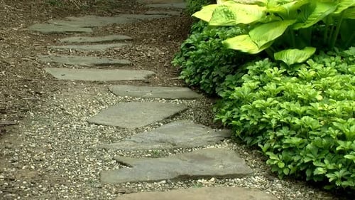 A pathway of stones beside a plant bed.