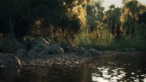 Calm Water and Rocky Shoreline in Golden Light