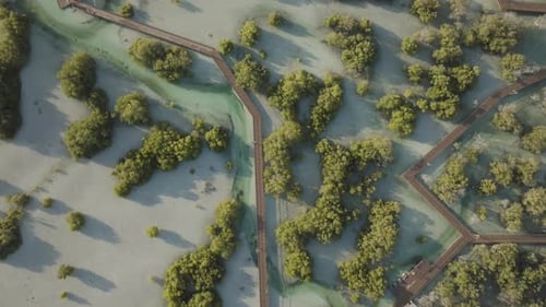 Aerial view of Jubail Mangrove and green forest, Abu Dhabi, UAE.