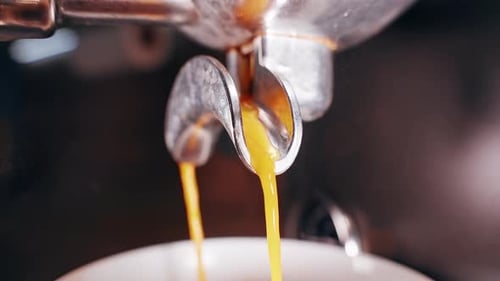 Close Up View of Golden Espresso Flowing From Metal Portafilter Spouts Into Cup Showing Fresh