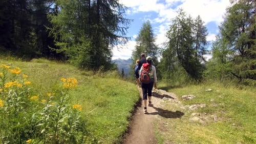 Portrait of people having a trekking tour and walking on a mountain path. Concept: Sport, travel,