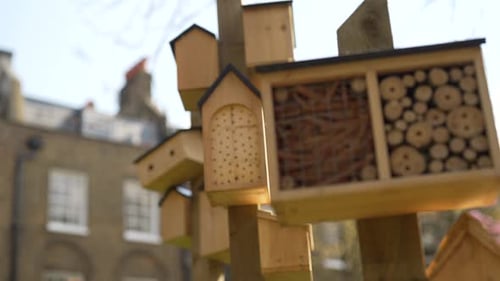 Slow motion close-up shot of a wooden bees house