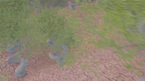 Decorative Tree in an Arid Area