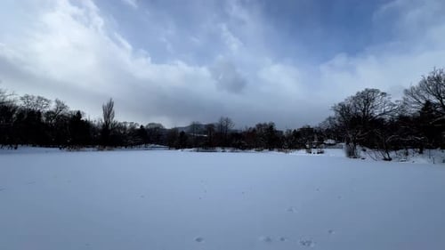 Serene Winter Wonderland in Sapporo's Nakajima Park Captured on a Snowy Day