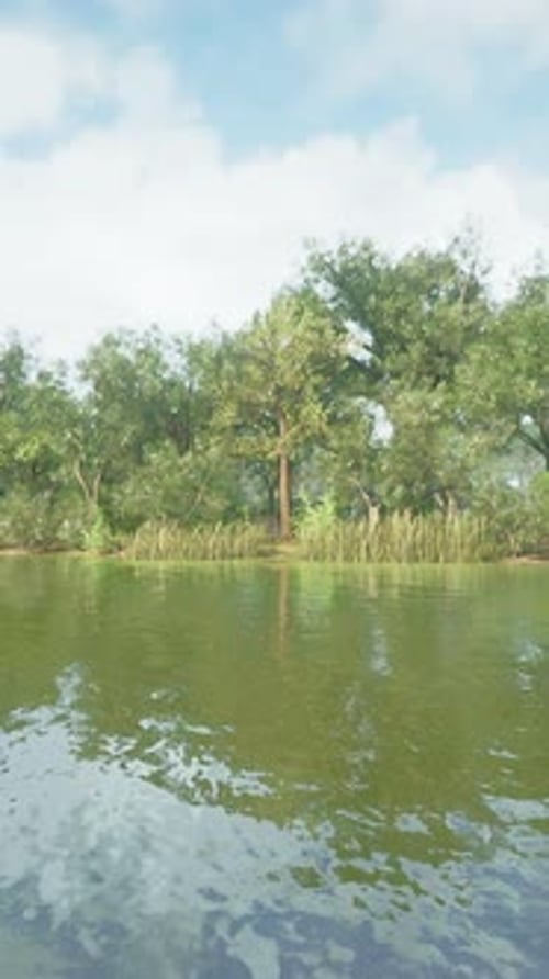 Beautiful Colorful Summer Spring Natural Landscape with a Lake in Park