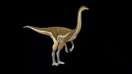 Dinosaure Gallimimus Idle